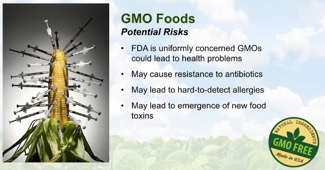 GMO Food Potential Risks